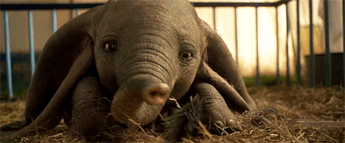  actuando en Dumbo 2019 